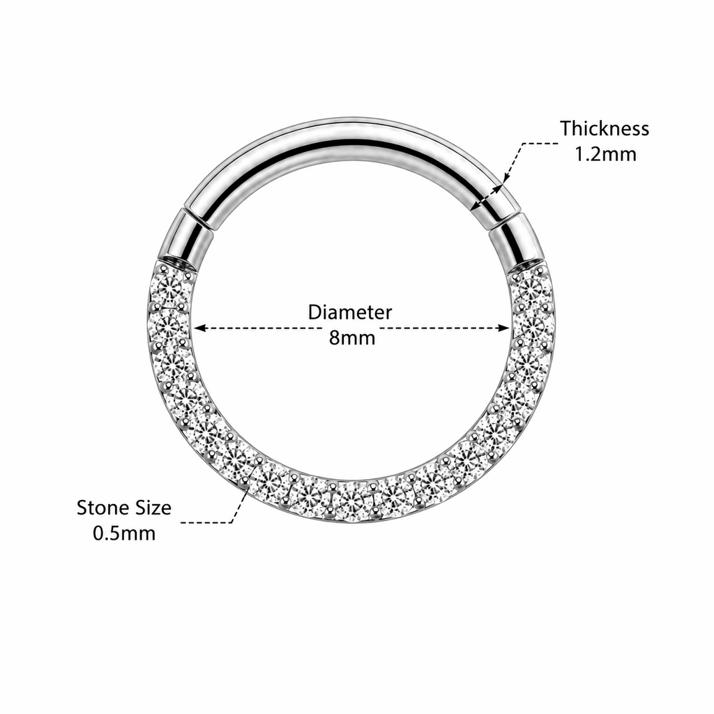 316L Surgical Steel Pavé Crystal Hinged Segment Clicker Ring – 16G (1.2mm) 8mm & 10mm