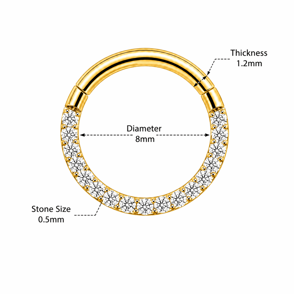316L Surgical Steel Pavé Crystal Hinged Segment Clicker Ring – 16G (1.2mm) 8mm & 10mm