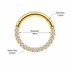 316L Surgical Steel Pavé Crystal Hinged Segment Clicker Ring – 16G (1.2mm) 8mm & 10mm