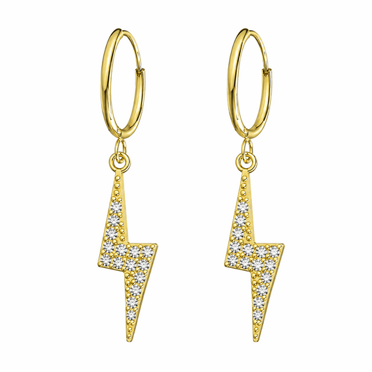 316L Surgical Steel Segment Hoop Earrings with Dangling Flash – Pair
