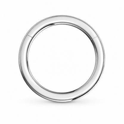 316L Surgical Steel Hinged Segment Ring – 16G & 14G