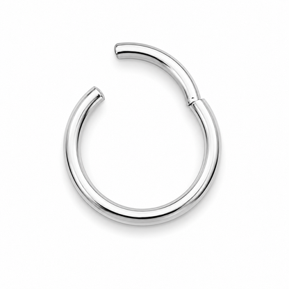 316L Surgical Steel Hinged Segment Ring – 16G & 14G
