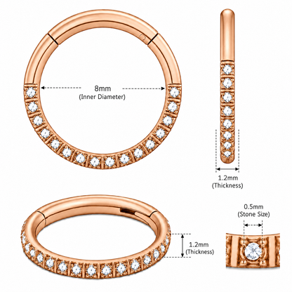 316L Surgical Steel CZ Hinged Segment Clicker Ring – 16G
