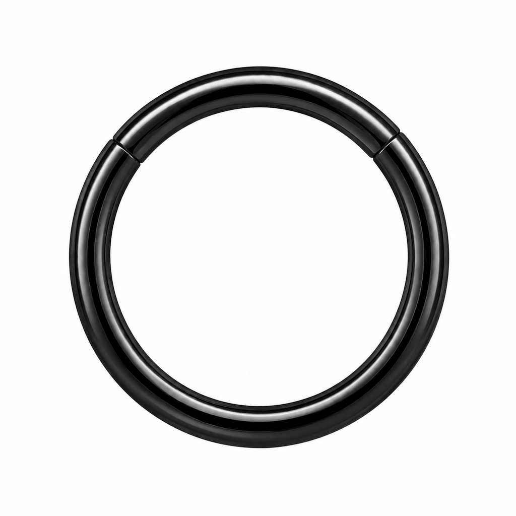 316L Surgical Steel Hinged Segment Ring – 16G & 14G