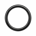 316L Surgical Steel Hinged Segment Ring – 16G & 14G