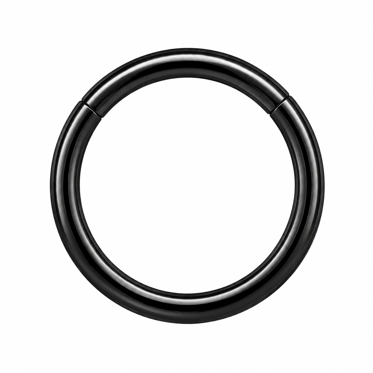 316L Surgical Steel Hinged Segment Ring – 16G & 14G