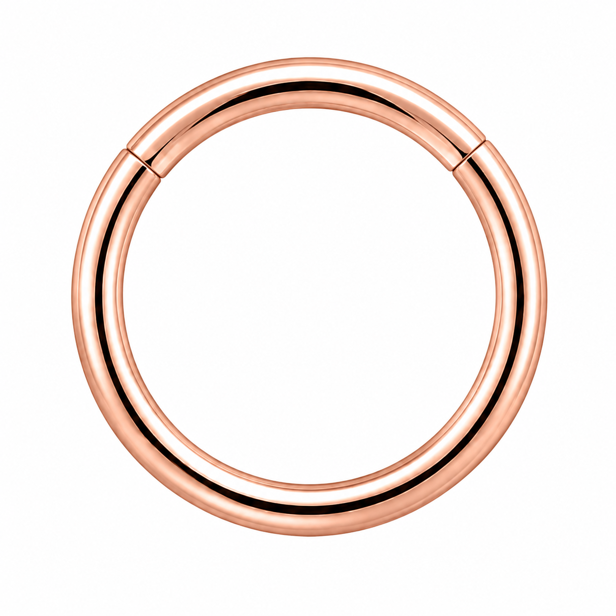 316L Surgical Steel Hinged Segment Ring – 16G & 14G