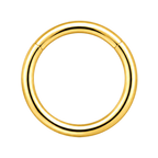 316L Surgical Steel Hinged Segment Ring – 16G & 14G