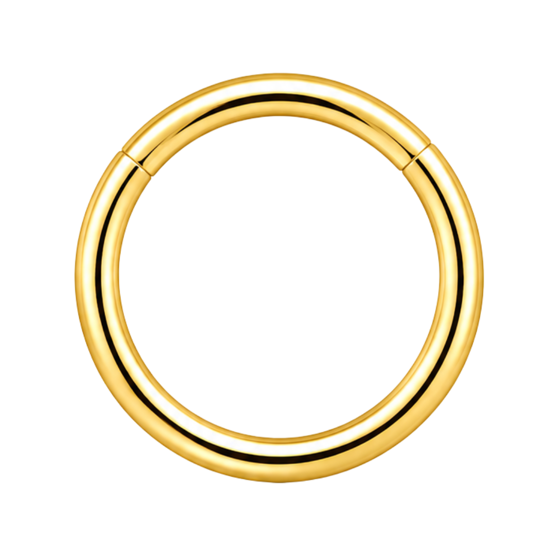 316L Surgical Steel Hinged Segment Ring – 16G & 14G