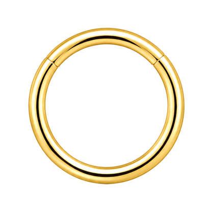 316L Surgical Steel Hinged Segment Ring – 16G & 14G